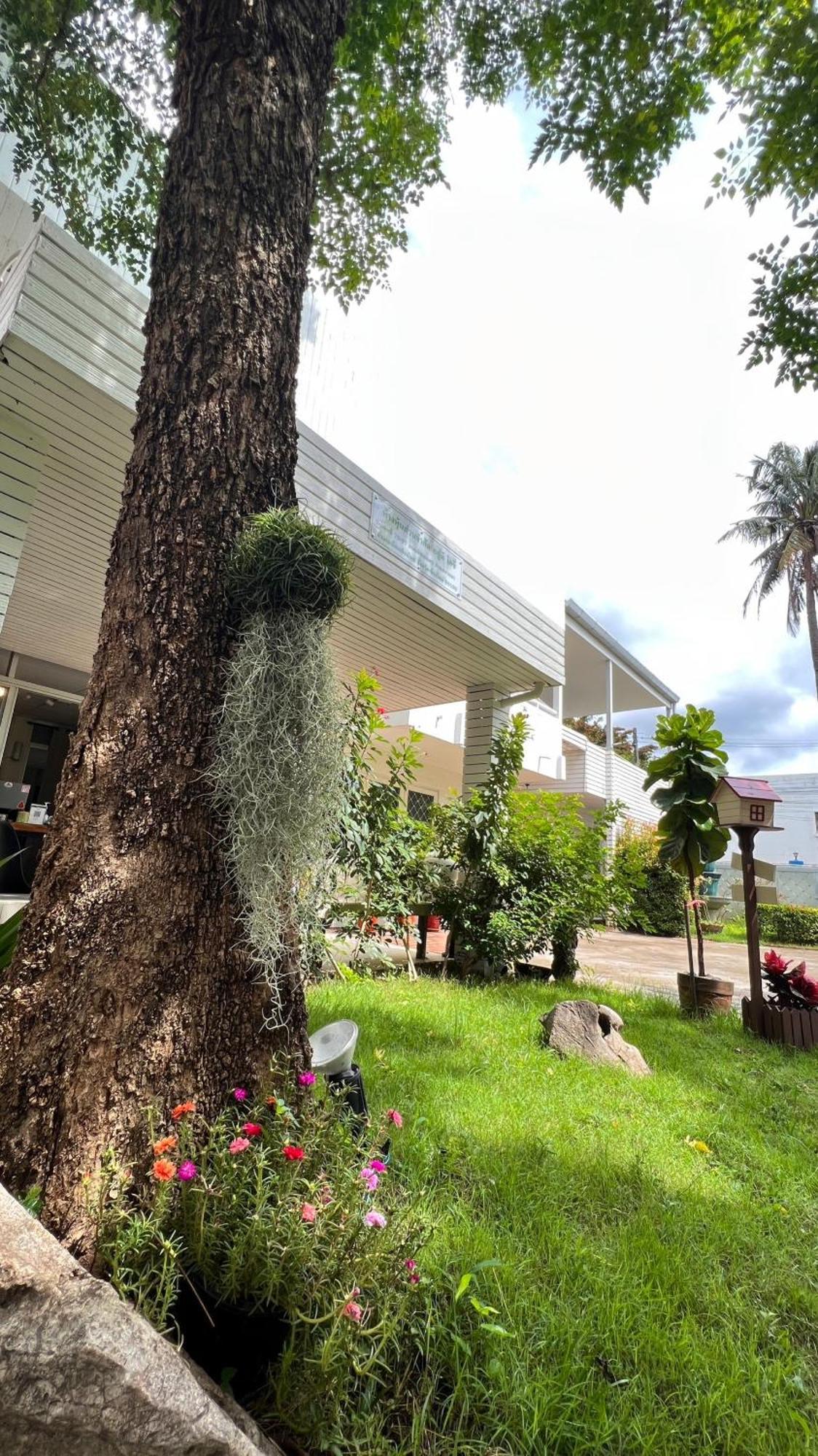 Udee Cozy Hotel Chiang Mai Exterior photo