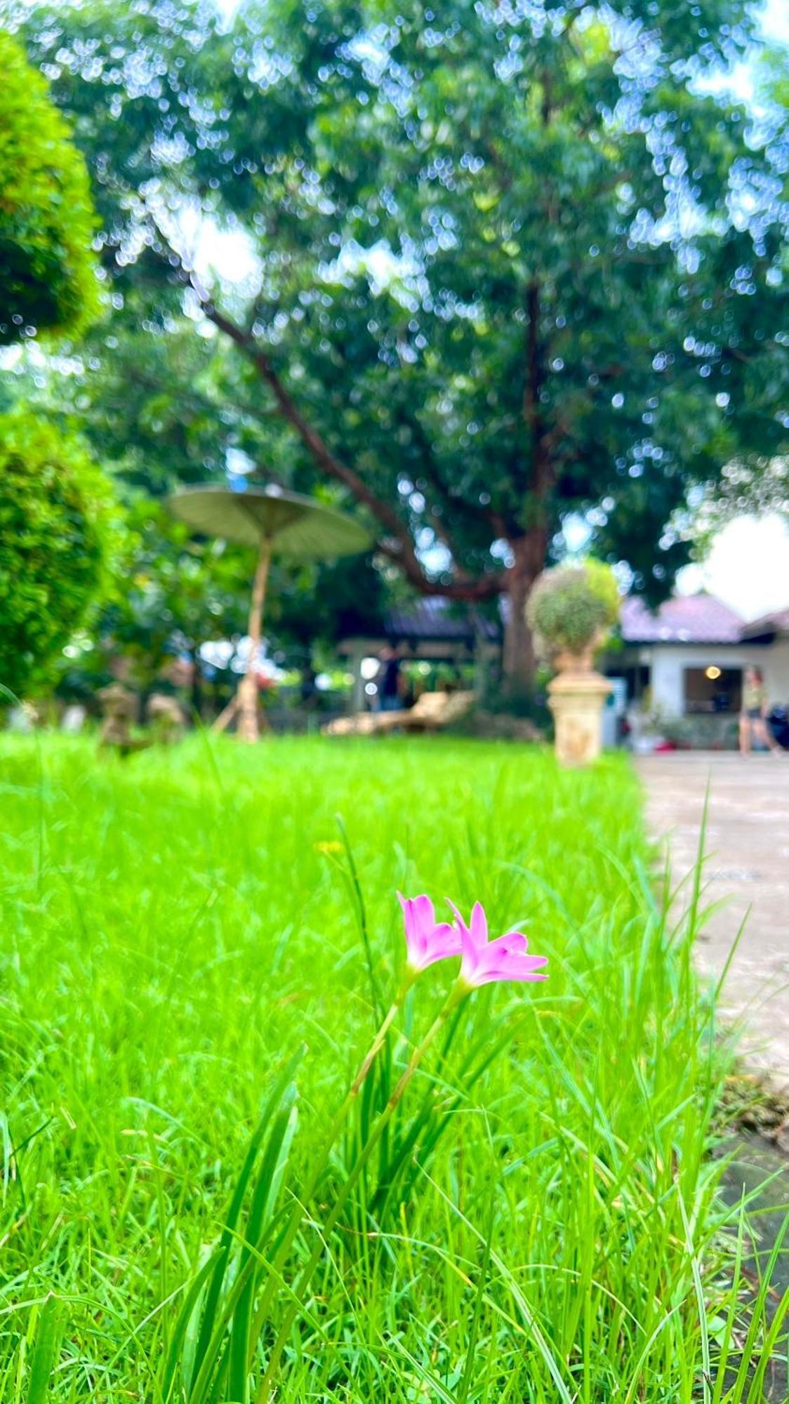 Udee Cozy Hotel Chiang Mai Exterior photo