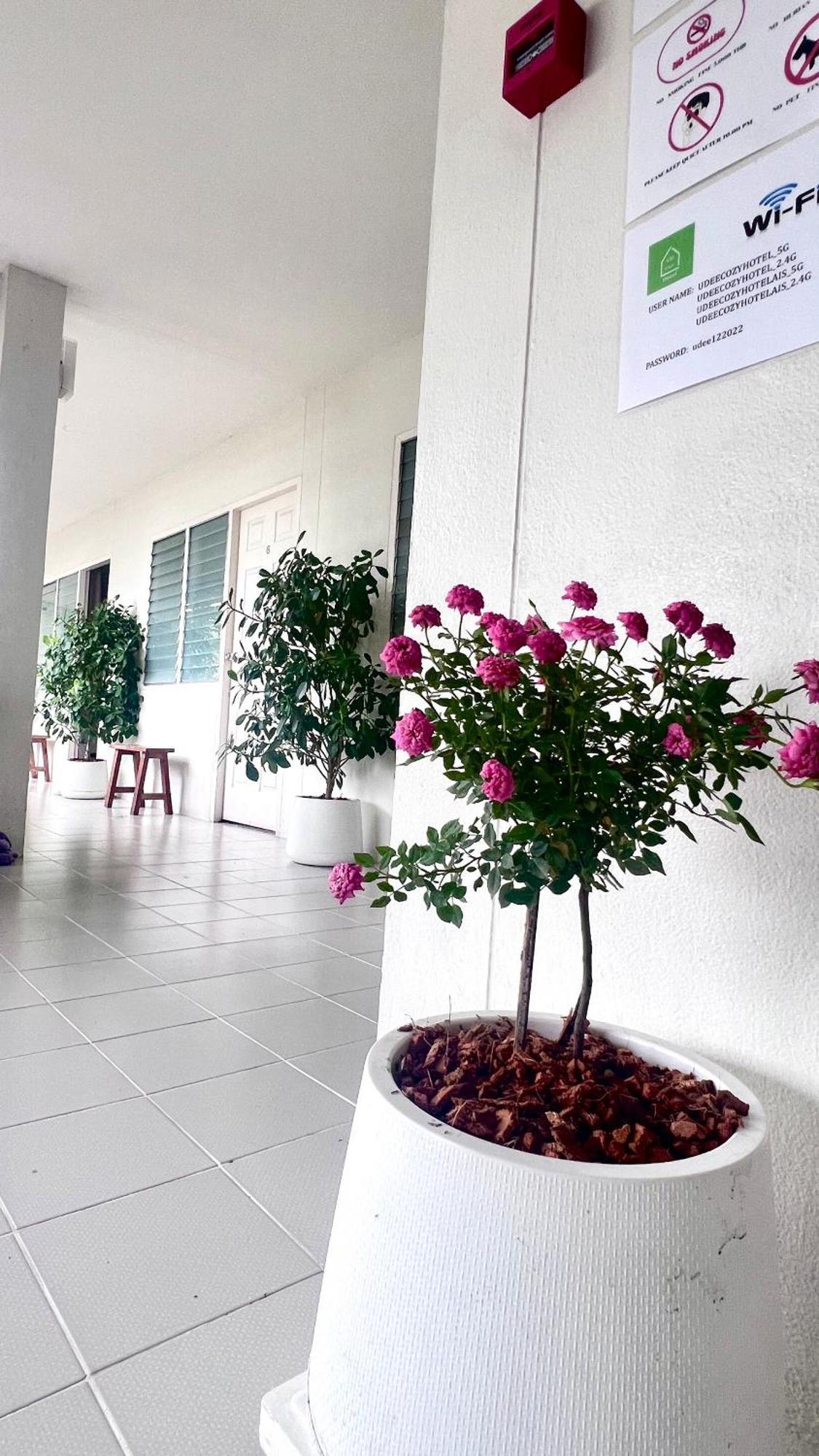 Udee Cozy Hotel Chiang Mai Exterior photo